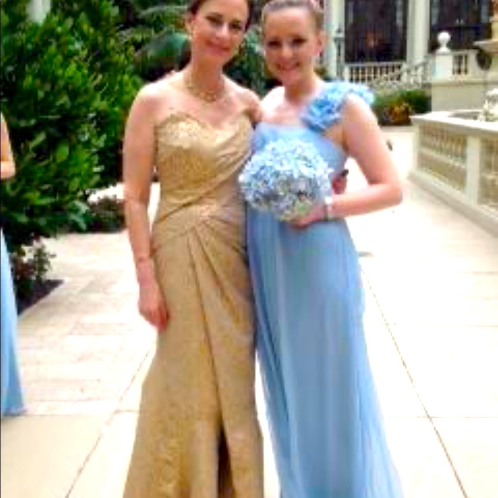Amsale Bridesmaid Gown Style G461C size 6
